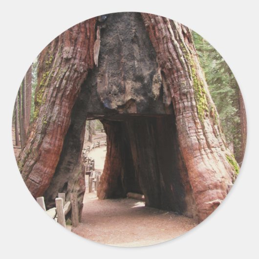 Tunnelboom - Yosemite Ronde Sticker (Voorkant)