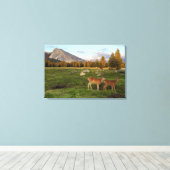 Tuolumne Meadow, Yosemite Canvas Afdruk (Insitu (Houten vloer))