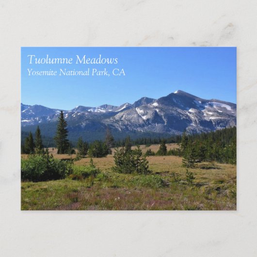 Tuolumne Meadows, Yosemite, CA-Briefkaart Briefkaart (Voorkant)