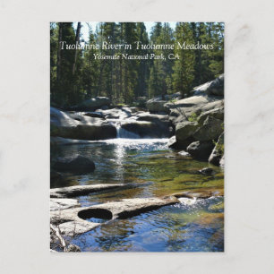Tuolumne River in de Tuolumne Meadows, Yosemite, C Briefkaart