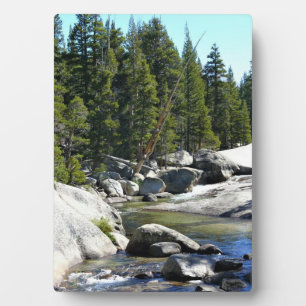 Tuolumne River in de Tuolumne Meadows, Yosemite, C Fotoplaat