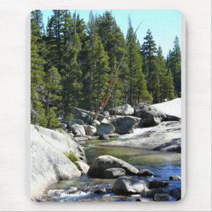 Tuolumne River in de Tuolumne Meadows, Yosemite, C Muismat