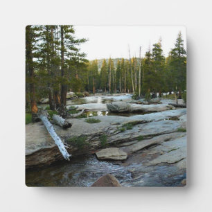 Tuolumne, rivier de Campground, Yosemite, CA Fotoplaat