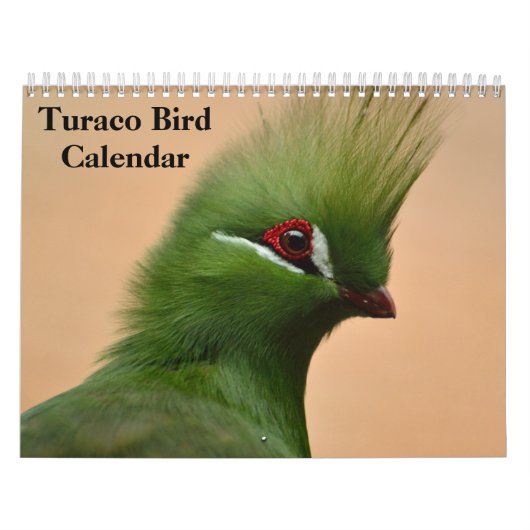 Turaco Vogel 2025 Kalender (Hoes)