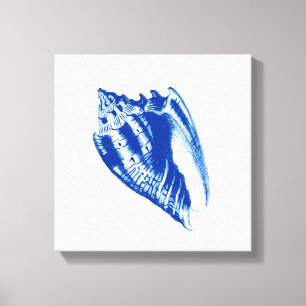 Turban Conch Shell, Indigo Blue en White Canvas Afdruk