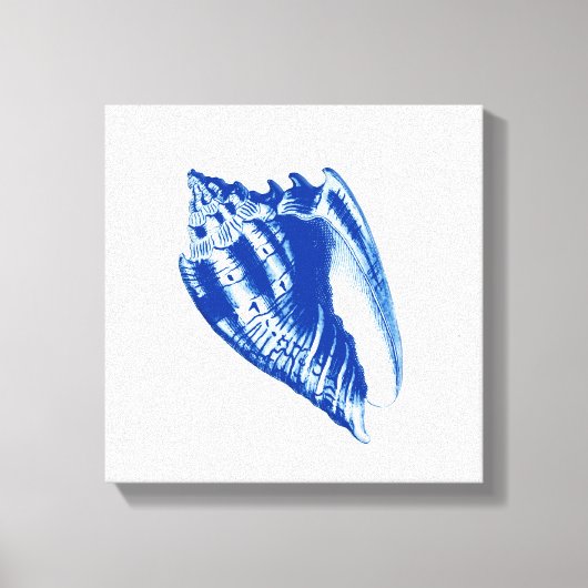 Turban Conch Shell, Indigo Blue en White Canvas Afdruk (Voorkant)