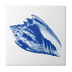 Turban Conch Shell, Indigo Blue en White Tegeltje
