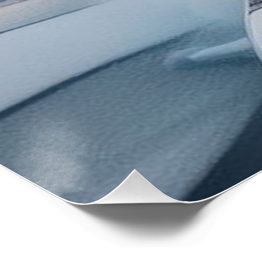 Turbo Prop Twin Engine Float Plane Struik Nederlan Perfect Poster (Hoek)