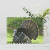 turkey-1.jpg kaart (Staand voorkant)