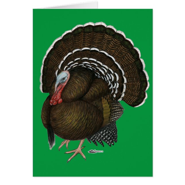 Turkey Bronze Tom (Voorkant)