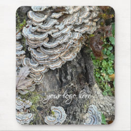 "Turkey Tail Mushrooms" Muismat