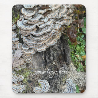 "Turkey Tail Mushrooms" Muismat