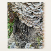 "Turkey Tail Mushrooms" Planner (Achterkant)