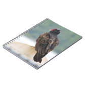 Turkey Vulture Notebook Notitieboek (Linkerzijde)