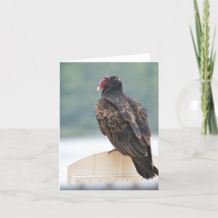 Turkey Vulture Notecard Kaart