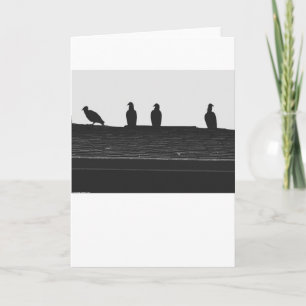 Turkey Vulture Silhouette, kaart