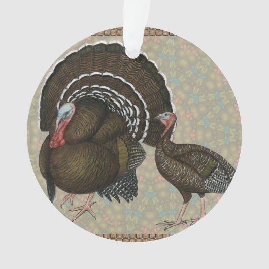 Turkeys Standard Bronze Portrait (devant)