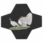 Turkeys White Holland (Plat)