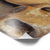 Turkije, Bodrum, Turquoise Coast, Bodrum Foto Afdruk (Hoek)