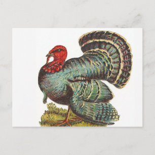 Turkije Briefkaart