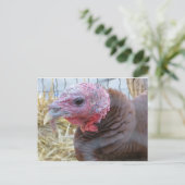 Turkije Briefkaart (Staand voorkant)