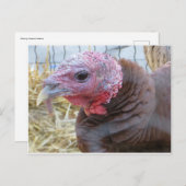 Turkije Briefkaart (Voorkant / Achterkant)