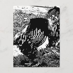 turkije briefkaart