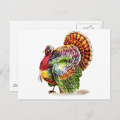  Turkije Briefkaart (Voorkant / Achterkant)