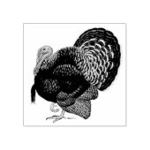 Turkije: Brons Tom Rubberstempel (Afrduk)