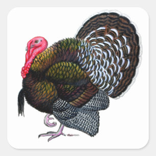 Turkije: Brons Tom Vierkante Sticker