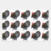 Turkije:  Bronze Tom Inpakpapier Vel (Voorkant 3)