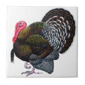 Turkije: Bronze Tom Tegeltje (Voorkant)