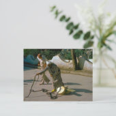 Turkije - charmer Istanbul Snake Briefkaart (Staand voorkant)