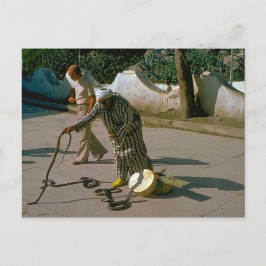 Turkije - charmer Istanbul Snake Briefkaart (Voorkant)