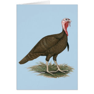 Turkije Chocolade Tom