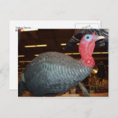 Turkije Decoy Briefkaart (Voorkant / Achterkant)