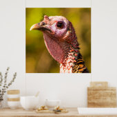 Turkije dichtbij en persoonlijk 32 x 32 Poster (Keuken)