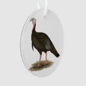 Turkije:  Eastern Wild Tom Ornament (voorkant)