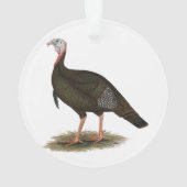 Turkije:  Eastern Wild Tom Ornament (achterkant)