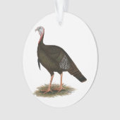 Turkije:  Eastern Wild Tom Ornament (voorkant)