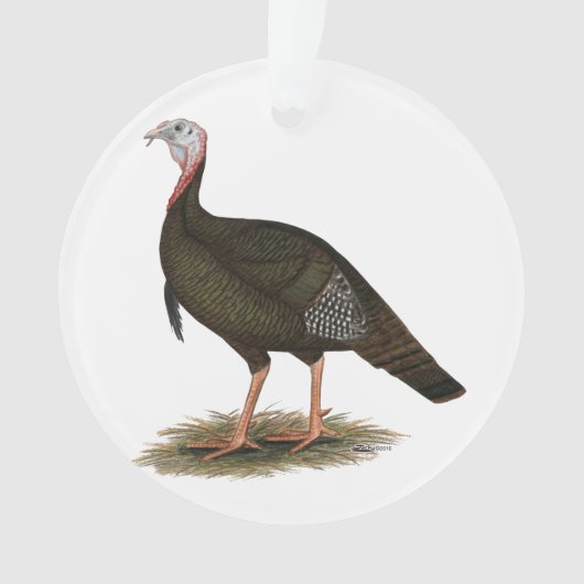 Turkije:  Eastern Wild Tom Ornament (voorkant)
