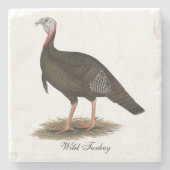 Turkije:  Eastern Wild Tom Stenen Onderzetter (Voorkant)