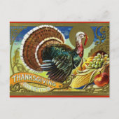  Turkije en Cornucopia Briefkaart (Voorkant)