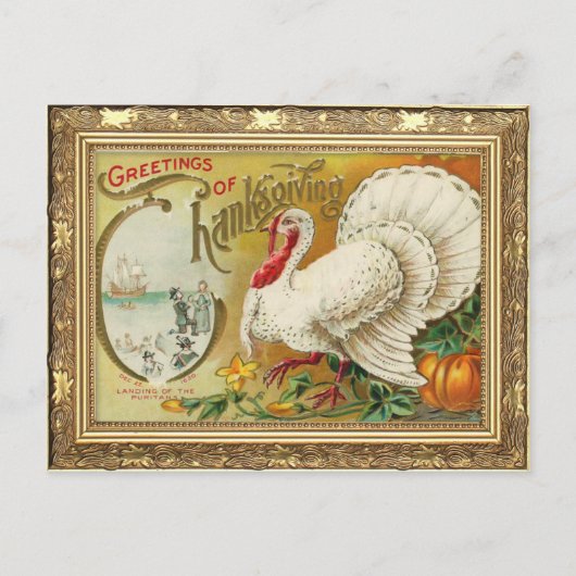  Turkije en Thanksgiving pompoen Briefkaart (Voorkant)