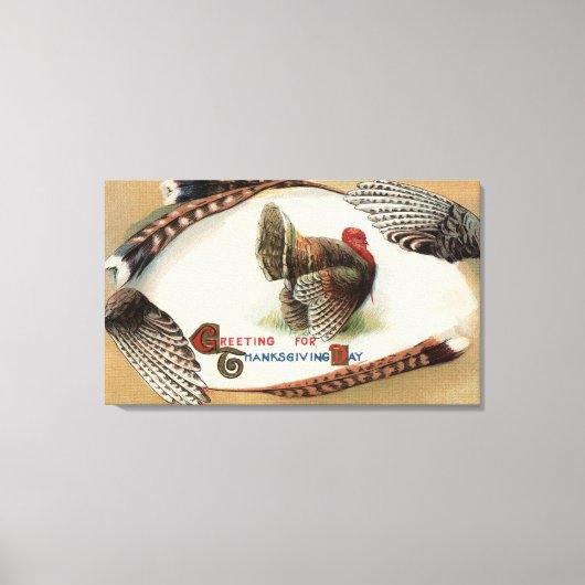 Turkije Feathers Canvas Afdruk (Voorkant)