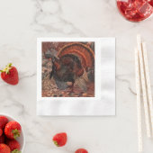  Turkije in het bos Servet (Insitu)