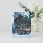 Turkije in het Briefkaart van de winter (Staand voorkant)