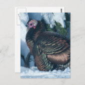 Turkije in het Briefkaart van de winter (Voorkant / Achterkant)