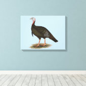 Turkije: Oost-wilde Tom Canvas Afdruk (Insitu (Houten vloer))