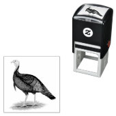 Turkije: Oost-wilde Tom Zelfinktende Stempel (In situ)